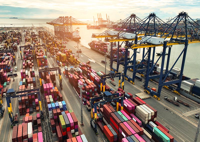 Logistics & <br> Supply Chain